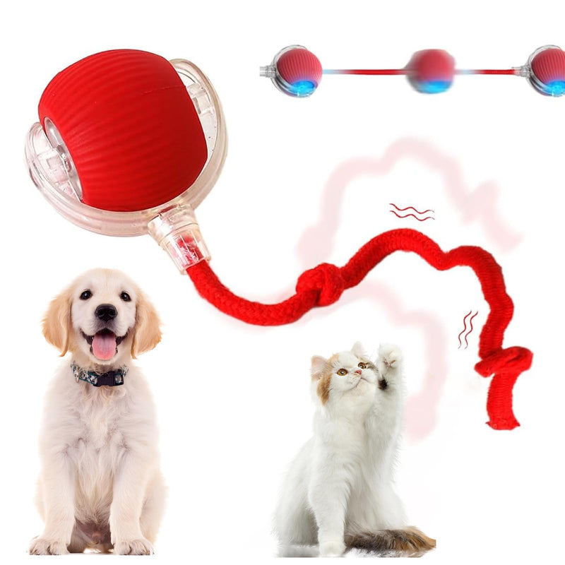 THINKKEEN Interactive Cat Toy Balls 2025 Upgraded Cat Toys for Indoor Cats Smart Self Rolling Interactive Cat Dog Ball Electric Dog Ball Toy for Bored Indoor Adult Cats Kitten Red